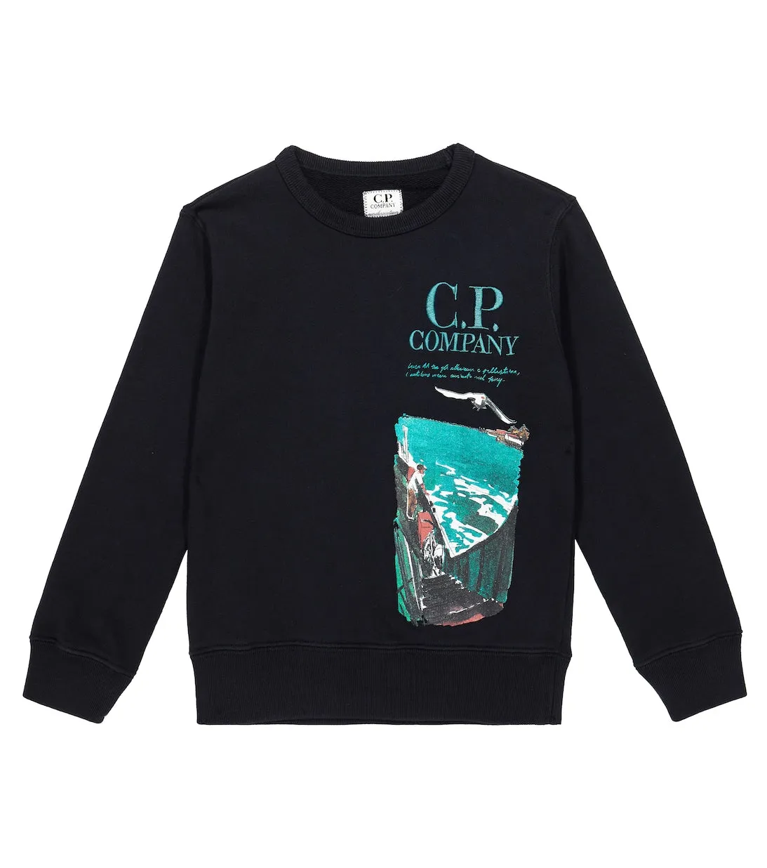 Cotton fleece sweatshirt with C print. COMPANY KIDS, multi-colored