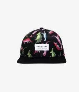 Kids Hats | Brim Hats- Dino Snapback | Headster Kids