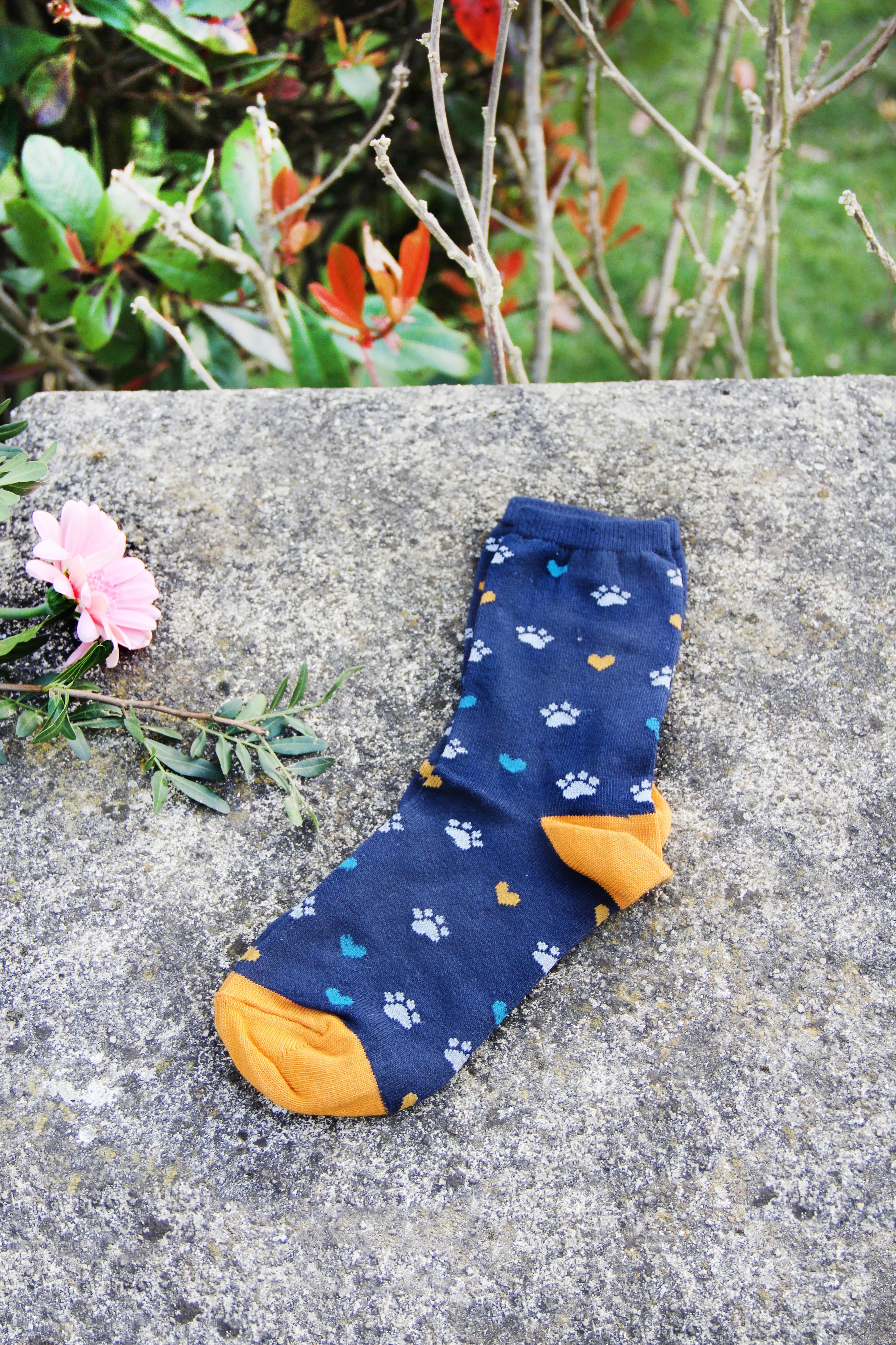 Paw Print Women's Socks